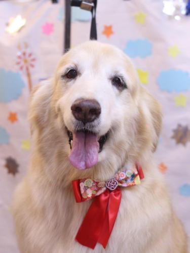 20240509みるくちゃん